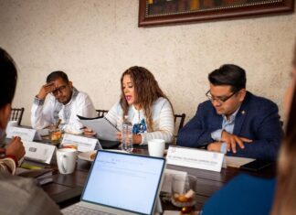 Aprueba Comisión de Derechos Humanos cinco dictámenes para fortalecer garantías, derechos y acceso a la justicia en Michoacán: Xóchitl Ruiz