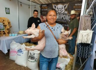 Gobierno de Morelia fomenta la producción porcina en la Agrotegan
