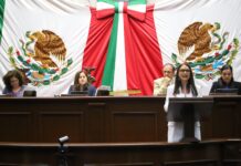 Presenta Nalleli Pedraza reforma para garantizar autonomía económica de personas con discapacidad