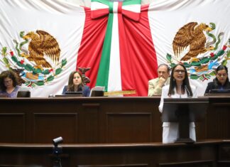 Presenta Nalleli Pedraza reforma para garantizar autonomía económica de personas con discapacidad
