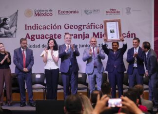Aguacate Franja Michoacán recibe Indicación Geográfica