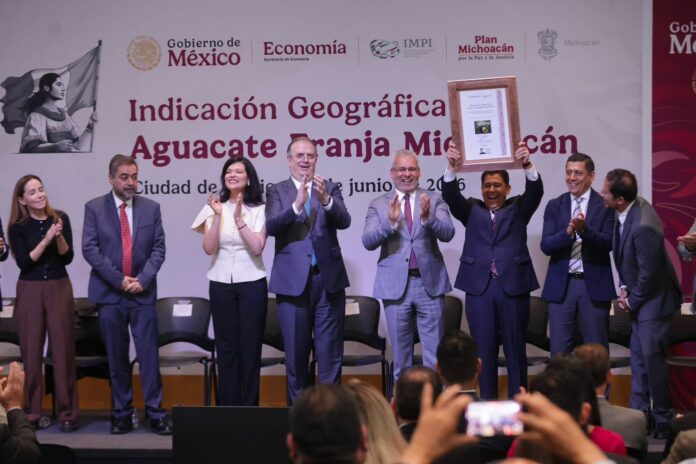 Aguacate Indicacion Geografica (2)