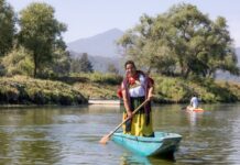 Rescate del lago de Pátzcuaro avanza con desazolve, restauración de manantiales y repoblamiento de especies nativas