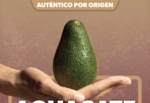 El aguacate michoacano y el valor de proteger un patrimonio colectivo