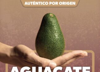 El aguacate michoacano y el valor de proteger un patrimonio colectivo
