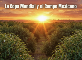 El Mundial de Futbol y el Campo Mexicano