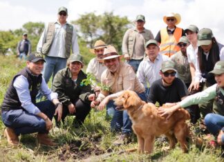 Michoacán va por récord verde; inicia Bedolla campaña para plantar 13 millones de árboles