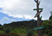 Así es El Tocuz, el santuario ecológico oculto en Acuitzio que ganó el Premio al Mérito Ambiental 2026