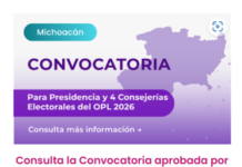 Tras remover a cuatro consejeros, INE abre convocatoria para renovar el órgano electoral de Michoacán
