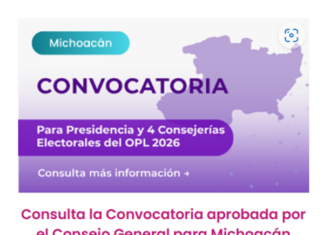 Tras remover a cuatro consejeros, INE abre convocatoria para renovar el órgano electoral de Michoacán