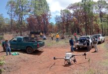 Dispersan 12 mil semillas en Pátzcuaro para restaurar el Estribo Grande