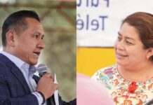 Torres Piña debe valorar el llamado para coordinar la defensa de la 4T en Michoacán: Belinda Iturbide