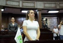 Endurecer penas por tala ilegal y devastación forestal en Michoacán, propone diputada Sandra Arreola