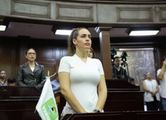 Endurecer penas por tala ilegal y devastación forestal en Michoacán, propone diputada Sandra Arreola