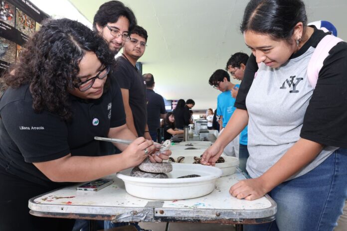 tianguis ciencia (3)