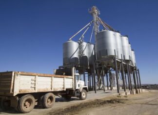 AGRICULTURA retoma pagos a 4 mil 311 productores de maíz blanco