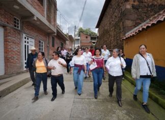 Respalda autogobierno de Santa Cruz Tanaco proyecto de Gladyz Butanda