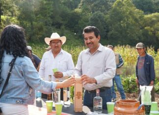 Entrega Gobierno de Charo 30 mil plantas de maguey para fortalecer la producción de mezcal