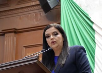 Propone diputada Tere Herrera garantizar asistencia social para personas con enfermedades raras en Michoacán