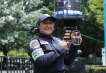 App 911 Michoacán blinda tu teléfono contra llamadas de extorsión