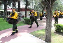 Brigadistas de Michoacán apoyarán en el combate de incendios forestales en Canadá