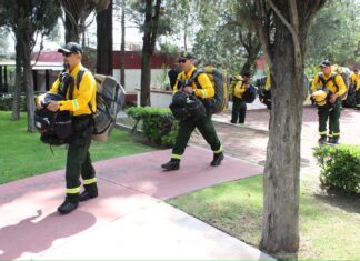 Brigadistas de Michoacán apoyarán en el combate de incendios forestales en Canadá