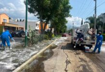 Gobierno de Morelia refuerza acciones preventivas contra el dengue