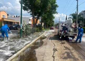 Gobierno de Morelia refuerza acciones preventivas contra el dengue