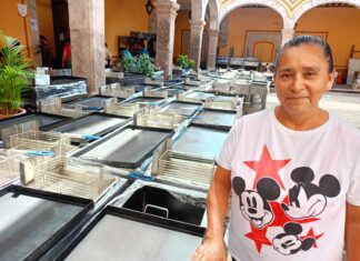 Impulsan el emprendimiento y la economía familiar en Álvaro Obregón con la tercera entrega de parrillas
