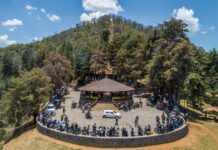 Convocan a jornada de reforestación para restaurar el Área Protegida del Estribo Grande en Pátzcuaro