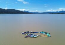 Rescate del lago de Pátzcuaro avanza en 79 manantiales y suma 60 mil peces blancos liberados