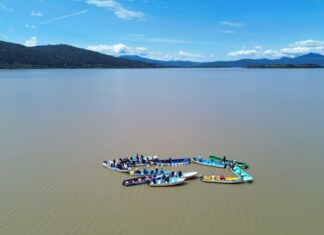 Rescate del lago de Pátzcuaro avanza en 79 manantiales y suma 60 mil peces blancos liberados