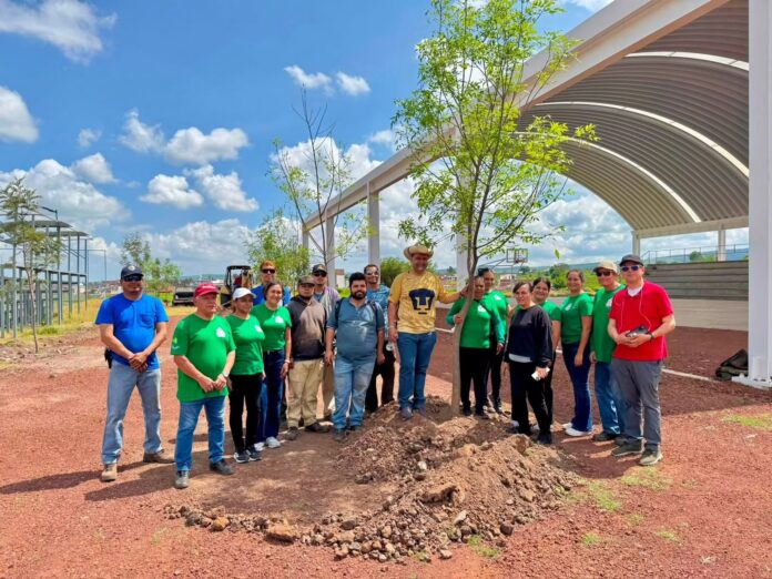 reforestacion 3