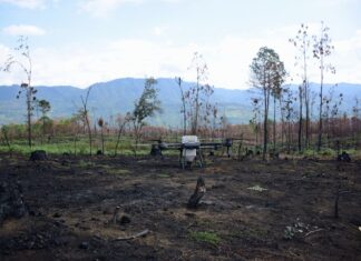 Drones reforestan las zonas más inaccesibles de Michoacán con programa Bio Renace