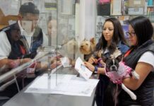 Establece México requisito de inspección sanitaria para perros y aves provenientes de EUA