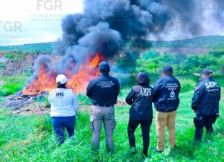 Destruye FGR más de mil objetos del delito asegurados en Michoacán