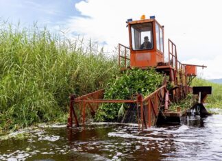 Intensifican trabajos de recuperación en el lago de Cuitzeo con maquinaria especializada