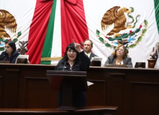 Vanhe Caratachea busca impulsar diputación migrante