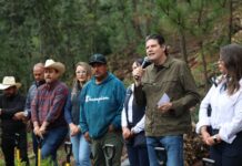 Encabeza Alfonso Martínez jornada de reforestación en Morelia