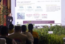 México alista jornada nacional para plantar 6.6 millones de árboles; Michoacán aportará 13 millones durante 2026