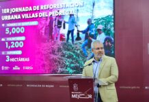 Ante exigencia ciudadana, adecuan proyecto del Morebús; no se talará ningún árbol en Tres Puentes