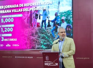 Ante exigencia ciudadana, adecuan proyecto del Morebús; no se talará ningún árbol en Tres Puentes