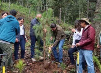 En Segundo Año de Gobierno, Alfonso Martínez consolida liderazgo ambiental de Morelia con nombramiento de Ciudad Árbol