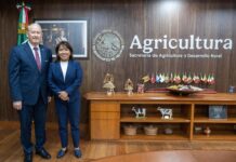 Michoacán reactiva por completo exportación de aguacate a Estados Unidos tras suspensión por inseguridad
