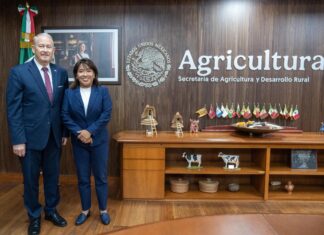 Michoacán reactiva por completo exportación de aguacate a Estados Unidos tras suspensión por inseguridad