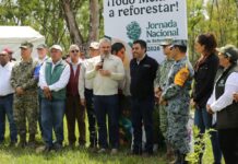 Michoacán se suma a la Jornada Nacional de Reforestación 2026; inician con 120 mil árboles