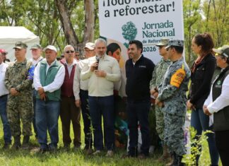 Michoacán se suma a la Jornada Nacional de Reforestación 2026; inician con 120 mil árboles