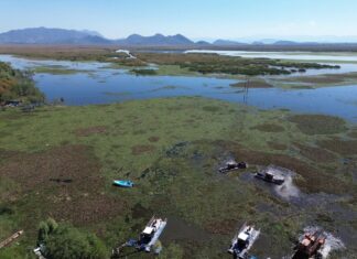Intensifican trabajos de recuperación en el lago de Cuitzeo con maquinaria especializada