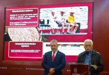 Productores de maíz pueden acceder a créditos con tasas desde 6.5% y seguro agrícola en Michoacán
