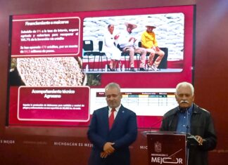 Productores de maíz pueden acceder a créditos con tasas desde 6.5% y seguro agrícola en Michoacán